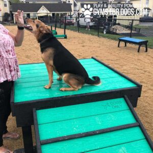 A German Shepherd mix sits on the Bridge Climb (L/X) 24" Tall at a dog park, reaching up to a woman for a high five. The green platform features agility equipment and has a “DOGS ONLY” sign.