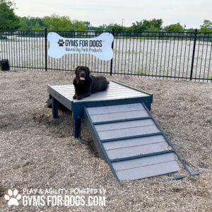 A chocolate lab rests on a Bridge Climb 29" Tall (L/X) at an outdoor dog park with mulch, next to a sign reading "GYMS FOR DOGS Natural Dog Park Products.