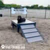 A black labrador lies on a Bridge Climb (L/X) 24" Tall agility platform at an outdoor dog park with wood chip ground, near a sign reading “GYMS FOR DOGS  Natural Dog Park Products.”.