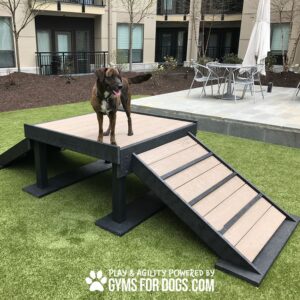 A brown and black dog stands on the Bridge Climb 29" Tall (L/X), an agility platform with ramps, at a dog park on artificial grass in a courtyard, with outdoor furniture and apartment buildings in the background.