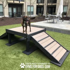A dog stands on the Bridge Climb (L/X) 24" Tall, a raised platform with two ramps, on artificial grass outdoors near patio furniture. Text reads: “Play & Agility Powered by GymsForDogs.com.”.