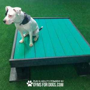 A white dog with black spots sits on a Training Platform (L/X) atop artificial turf. Text at the bottom reads, "Play & agility powered by Gyms For Dogs.com.