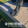 A close-up of a black dog's front paw stands on the Training Platform (L/X) outdoors at a dog park. Text at the bottom reads, "Gyms for Dogs Natural Dog Park Products" with a paw print logo.