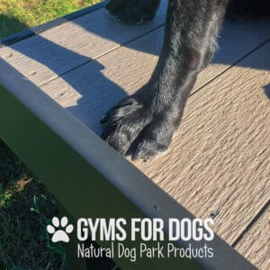 A close-up of a black dog's front paw stands on the Training Platform (L/X) outdoors at a dog park. Text at the bottom reads, "Gyms for Dogs Natural Dog Park Products" with a paw print logo.