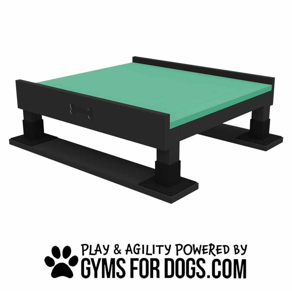 A black and teal Training Platform (L/X) for dogs features a bone-shaped side cutout, displayed above "Play & Agility Powered by GymsForDogs.com" with a paw print graphic.