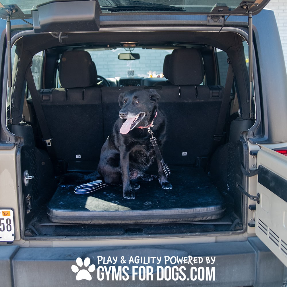 A black dog sits on the Jump Dog SUV Pet Comfort Pad in the open trunk of an SUV, looking to the side with its tongue out. At the bottom, "PLAY & AGILITY POWERED BY GYMS FOR DOGS.COM" appears with a paw print graphic.