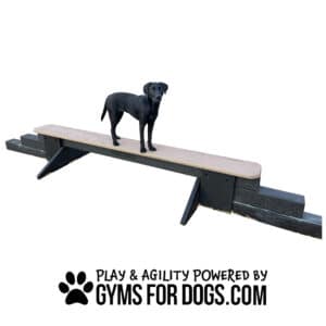 A black dog stands on a Jump Balance Beam in a Dog Park. Below, text reads: "Play & Agility Powered by GymsForDogs.com" with a paw print icon. The background is white.