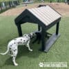 A Dalmatian with a green toy plays with a black dog under the Tunnel House (L/X) at the Dog Park, enjoying the grassy, fenced space filled with play equipment.