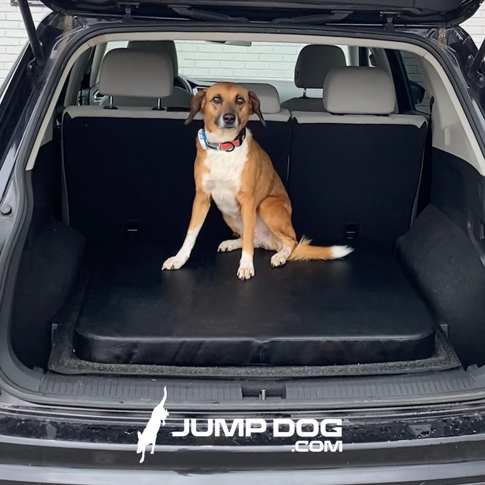 A medium-sized brown and white dog sits in the back of an SUV on a Jump Dog SUV Pet Comfort Pad, with "JUMPDOG.com" and a dog silhouette logo displayed at the bottom of the image.