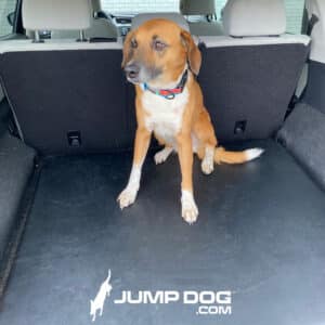 A brown and white dog with a blue collar sits on a Jump Dog SUV Pet Comfort Pad in the back of a car, ready for a trip to the dog park. The mat features the "JUMP DOG.COM" logo with a jumping dog silhouette.