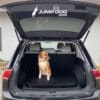 A brown and white dog sits on a Jump Dog SUV Pet Comfort Pad in the open trunk of an SUV, ready for the dog park. The SUV is parked outside a white brick building, and the "JUMP DOG.COM" logo is at the top of the image.
