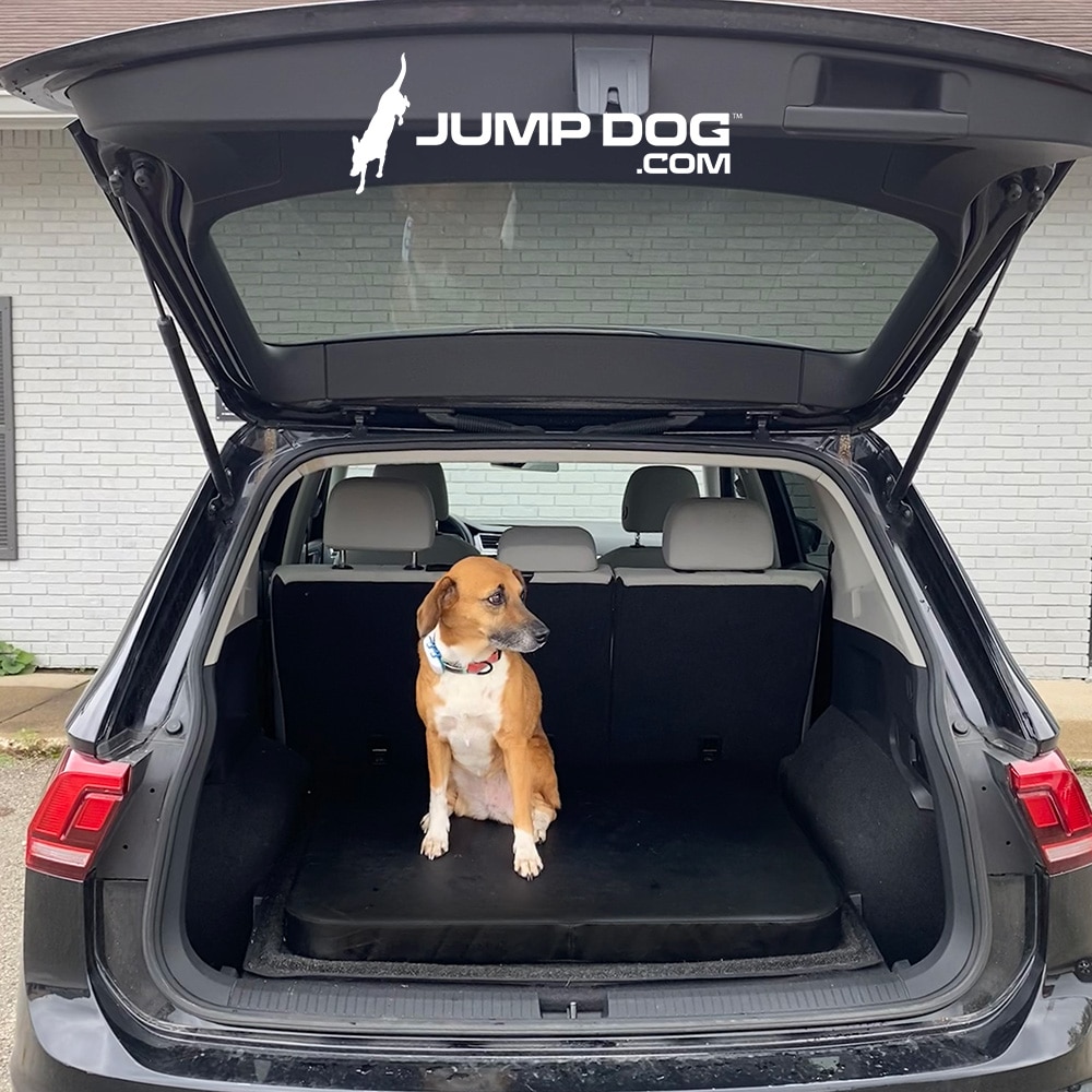 A brown and white dog sits on a Jump Dog SUV Pet Comfort Pad in the open trunk of an SUV, ready for the dog park. The SUV is parked outside a white brick building, and the "JUMP DOG.COM" logo is at the top of the image.
