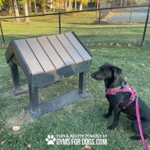A black dog in a pink harness sits on grass at a Dog Park, facing the Tunnel House (L/X) by GymsForDogs.com. A wooden and metal agility ramp is nearby, with trees and a fence in the background.