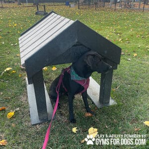 A black dog in a plaid harness sits under a Tunnel House (L/X), a small, roofed wooden structure, in a grassy dog park with scattered yellow leaves. The "GYMS FOR DOGS" logo appears in the image corner.