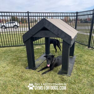 Two black dogs enjoy a Dog Park—one lounges under the Tunnel House (L/X) labeled "Dogs Only," while the other stands nearby. The grassy, fenced park features a road and trees in the background.