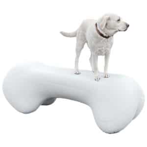 A white dog with a collar stands on top of the Agility Bone (FBR) – 4 ft Standard Weight, as if eagerly awaiting a trip to the dog park, set against a plain white background.