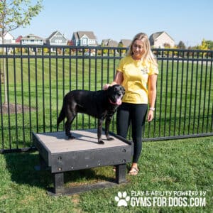 A woman in a yellow shirt stands beside a black dog on a Training Platform (S/M) in a grassy area with a black fence and houses behind them. Text at the bottom reads, "PLAY & AGILITY POWERED BY GYMS FOR DOGS.COM.