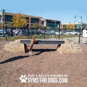 A dog leaps over Ellie's Boulder Bridge Pro—Bridge, Set of 2 Rocks, and Bumper Pads—at a Dog Park with mulch, rock features, a fence, and autumn trees; buildings are in the background. Text: “PLAY & AGILITY POWERED BY GYMS FOR DOGS.COM.”.