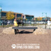 A woman in a yellow shirt stands beside a black dog on Ellie's Boulder Bridge Pro (bridge, 2 rocks, bumper pads) at a dog park. Buildings, trees, and a black fence are in the background. Text: Play & Agility Powered by GymsForDogs.com.