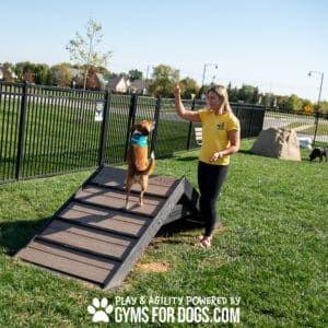 A woman and her dog enjoy the vibrant dog park while standing on the Hill Climb ramp.