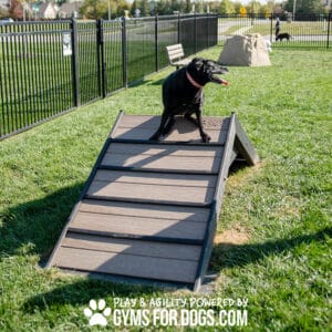 A black dog climbs the Hill Climb ramp at a lively dog park with green grass and a fenced backdrop. Text below reads, "Play & Agility Powered by GymsForDogs.com.