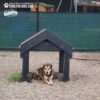 A brown and tan dog lies under a small wooden shelter labeled "Dogs Only" in a gravel-covered outdoor area, with a green fence and some equipment in the background.