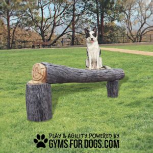 A black and white dog sits on the Agility Log Balance – Interactive Play Series in a grassy park with trees. At the bottom, “Play & Agility Powered by GymsForDogs.com” appears beside a paw print logo.