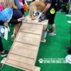 Two dogs play on the Interactive Play Bridge Climb at a pet expo, while people watch nearby—one with a phone, another with a blue toy. The green turf floor displays "Gyms for Dogs" branding. This product is ideal for shelters and private properties.