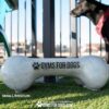 A gray bone-shaped dog toy labeled "GYMS FOR DOGS" sits on grass, with a black dog in a red harness and a fence visible in the background. Text reads "SMALL/MEDIUM" and "GYMS FOR DOGS.COM.