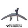 A black dog wearing a pink harness stands on a brown wooden agility ramp with four sloped sides. Below, text reads: "Play & Agility Powered by GymsForDogs.com" with a paw print icon.