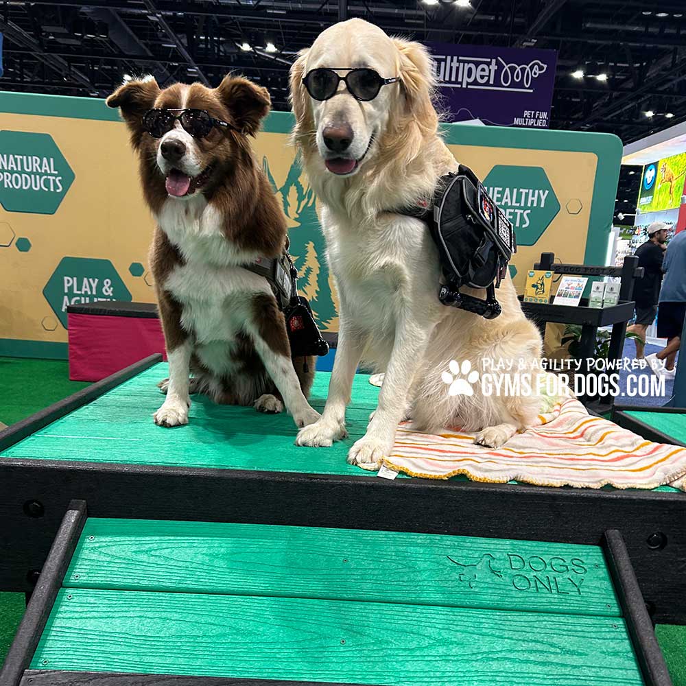 Two dogs in sunglasses and harnesses sit on a green "DOGS ONLY" platform featuring the Bridge Climb (Pro) at an indoor event with booths displaying natural pet health products.