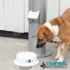 A brown and white dog sniffs a white water bowl with paw prints, beside a Cool Dog Water Fountain - Doggie Demand Water Spout on concrete. The "Cool Dog Water Fountains" logo appears in the corner of the image.