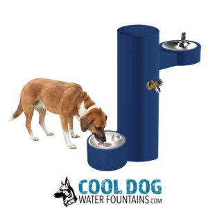 A brown and white dog drinks from the Cool Dog Water Fountain - SST, featuring a dog basin, ADA basin, and hose bib attached to a blue outdoor fountain with the "COOL DOG WATER FOUNTAINS.COM" logo below.