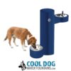 A brown and white dog drinks from a Cool Dog Water Fountain - SST - Dog Basin & ADA Basin, featuring a blue outdoor design with a separate human spout. Below is the "COOL DOG WATER FOUNTAINS.COM" logo and a drawing of a dog's head.