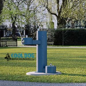 The Cool Dog Water Fountain - STE - Dog Basin & ADA Basin is a blue outdoor fountain with adult and dog-height spouts, set on grass in a park with trees and a black fence. "Cool Dog Water Fountains.com" appears on the image.
