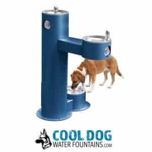 A blue outdoor water fountain with three levels, including a lower bowl where a brown and white dog is drinking. The fountain is labeled "Cool Dog Water Fountains" with a dog illustration below.