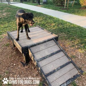 A black dog stands on a wooden Bridge Climb (S/M) 18" Tall with a ramp at a dog park. Grass, a sidewalk, and trees are in the background. The image text reads, "PLAY & AGILITY POWERED BY GYMSFORDOGS.COM.