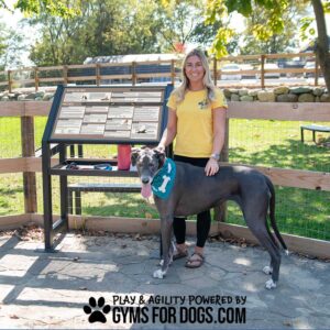 A woman in a yellow shirt stands beside a large gray dog in a blue bandana at an outdoor dog park with The Ultimate Rules & Wellness Kiosk and wooden fence. Text below: "Play & Agility Powered by GymsForDogs.com.