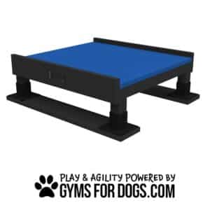 Rectangular black and blue dog agility platform with sturdy legs, a bone-shaped detail on the front, and “Play & Agility Powered by GymsForDogs.com” text with a paw print logo below.