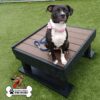 A black and white dog wearing a pink bandana sits on a raised platform outdoors on artificial grass. A "Gyms for Dogs" logo with a cartoon dog is in the lower left corner.