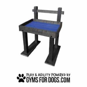 A black and blue elevated dog bench with back support, branded with "GYMS FOR DOGS." Below it are the words "PLAY & AGILITY POWERED BY GYMSFORDOGS.COM" with a black paw print graphic.