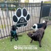 Three dogs interact near a large paw-shaped “Dog Park Adventures.com” sign on a fenced grassy area. The text “Play & agility powered by GymsForDogs.com” is visible at the bottom.