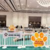 Indoor dog play area with agility equipment, fenced off in a large, elegant event space. Signs read "GYMS FOR DOGS" and "DOG PARK ADVENTURES" with paw print graphics and people in the background.
