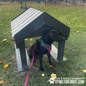 A black dog in a pink harness sits under a Tunnel House (S/M) in a grassy park scattered with yellow leaves. Text reads: “Play & Agility Powered by GymsForDogs.com.”.