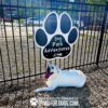 A white dog lies on the ground in front of a fence with a large paw-shaped sign that reads "Dog Park Adventures .com." The text "PLAY & AGILITY POWERED BY GYMS FOR DOGS.COM" appears at the bottom of the image.