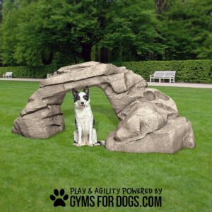 A black and white dog sits under the Motion Mountain Climb - Interactive Play Series in a grassy park with trees and white benches. Text at the bottom reads, "Play & agility powered by gymsfordogs.com.