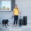A woman in a yellow shirt stands on a sidewalk holding a black dog on a leash and a pet waste scoop beside two black waste bins, in front of a light gray brick building with a window.