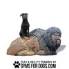 A black dog sits on top of a large, sculpted rock resembling a lion. Below, text reads, "Play & Agility Powered by GymsForDogs.com" with a paw print graphic.