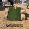 A small dog sits on top of an artificial turf ramp at a playground. The ramp is surrounded by rocks, and the ground is covered with wood chips. Text reads, “Play & Agility Powered by GymsForDogs.com.”.