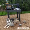 A husky lies on mulch beside metal water bowls under The Dog Post – Leash Holder & Toy Box at a dog park. The station, marked with "Gyms for Dogs" branding, holds bags, bottles, and towels near a fenced grassy area.